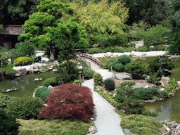 House, bridge and pool in a park near Stanford