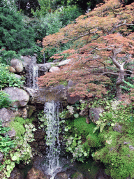 Waterfall in a park near Stanford