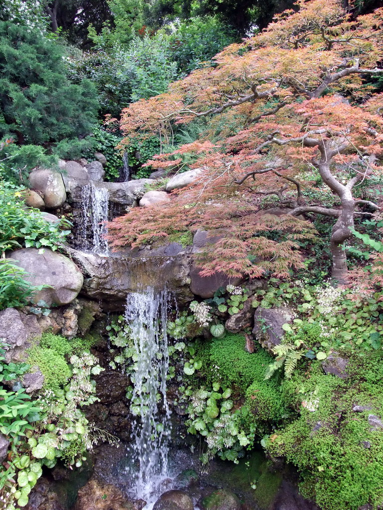 Waterfall in a park near Stanford