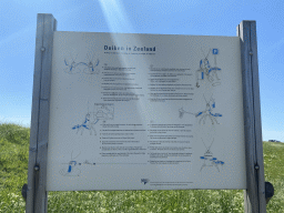 Information on diving in Zeeland, at the Steiger Stavenisse pier