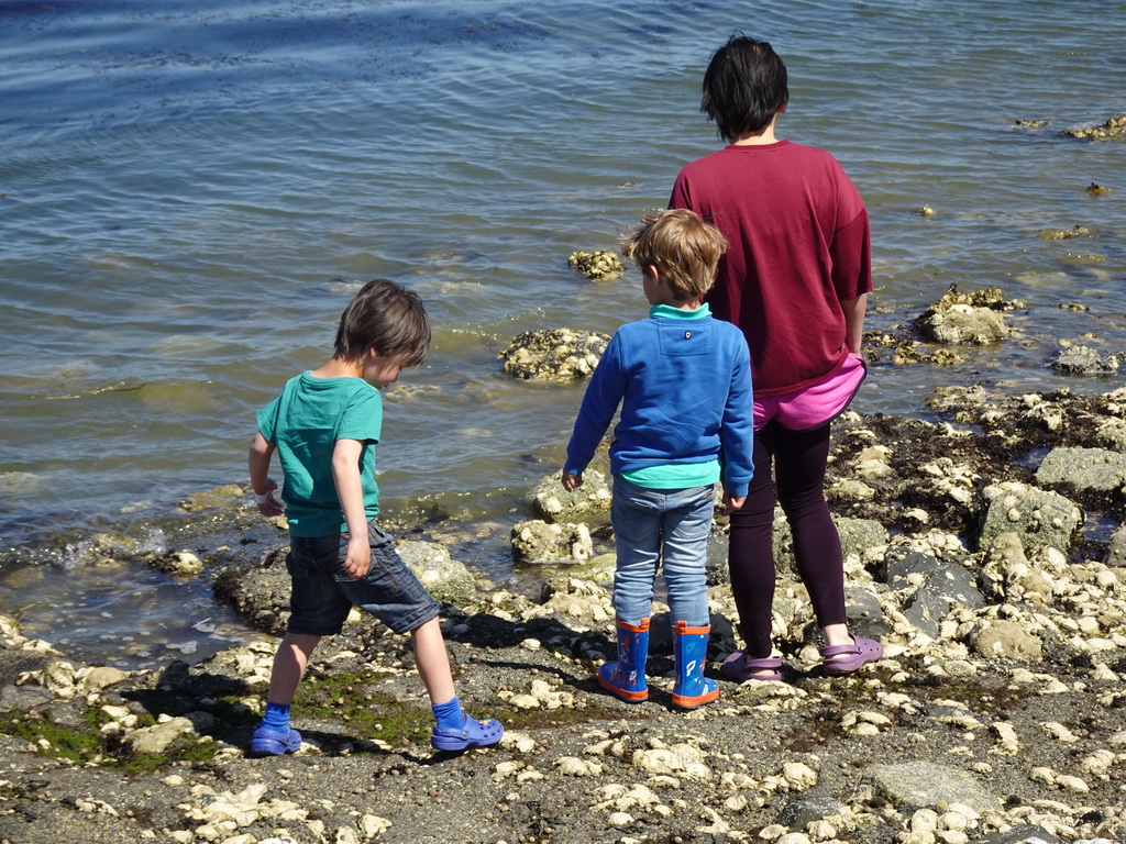 Miaomiao, Max and his friend on the beach near the Steiger Stavenisse pier