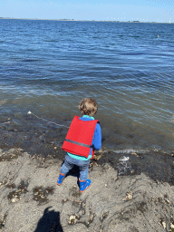 Max`s friend catching crabs on the beach near the Steiger Stavenisse pier