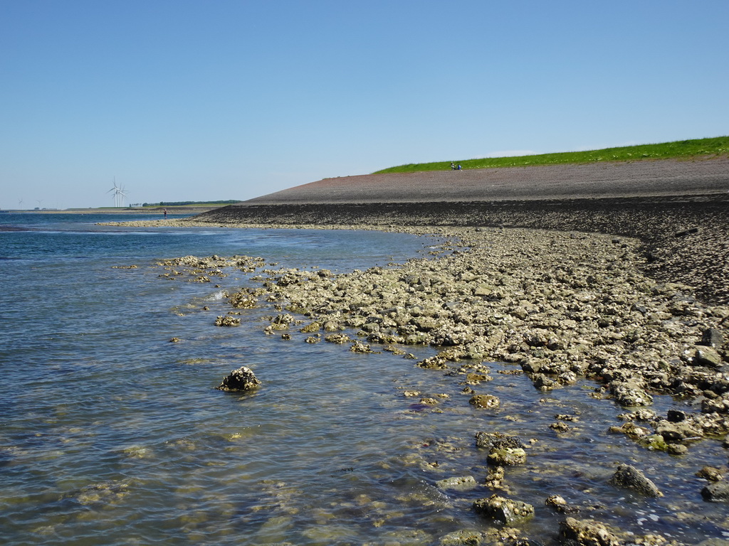 The beach near the Steiger Stavenisse pier