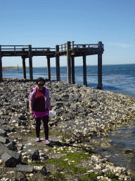 Miaomiao looking for shellfish on the beach near the Steiger Stavenisse pier