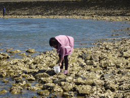 Miaomiao looking for shellfish on the beach near the Steiger Stavenisse pier