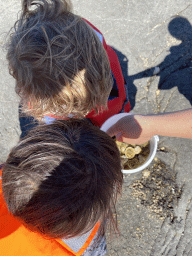 Max and his friend with shellfish on the beach near the Steiger Stavenisse pier