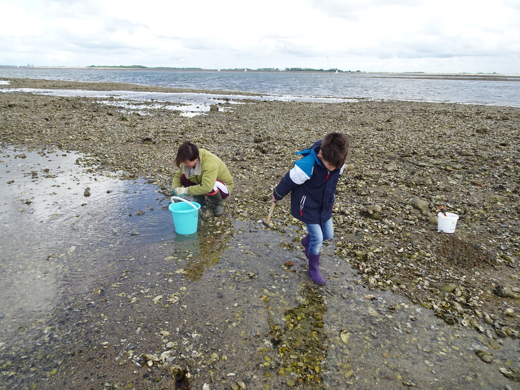 Miaomiao and Max catching seashells at the beach near the Dijkweg road