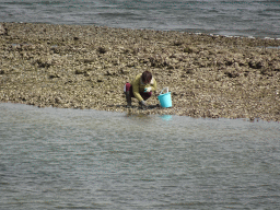 Miaomiao catching seashells at the beach near the Dijkweg road