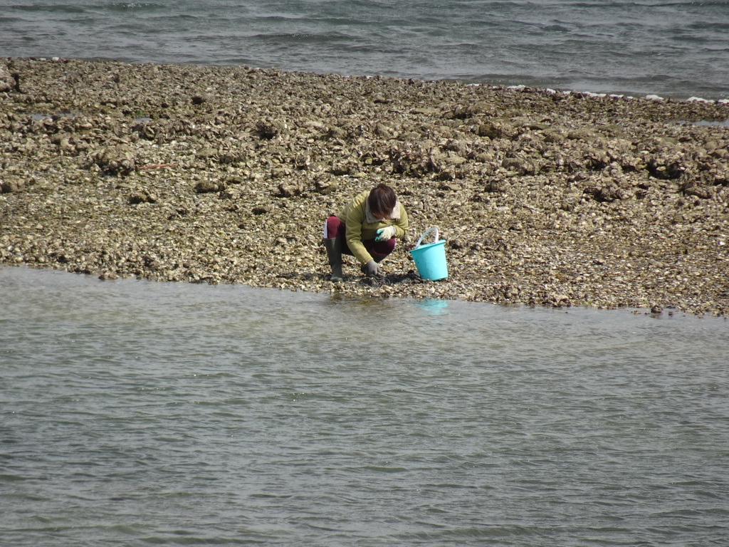 Miaomiao catching seashells at the beach near the Dijkweg road