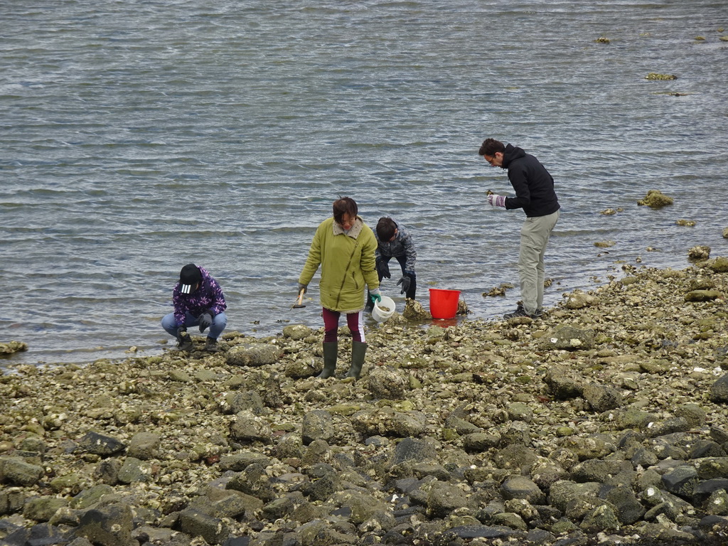 Miaomiao and our friends catching seashells at the beach near the Dijkweg road