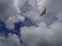 Kite at the dyke near the Dijkweg road