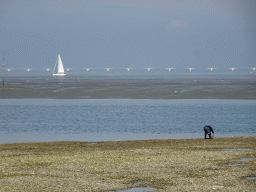 Person at the beach near the Dijkweg road, boat at the National Park Oosterschelde and the Zeelandbrug bridge