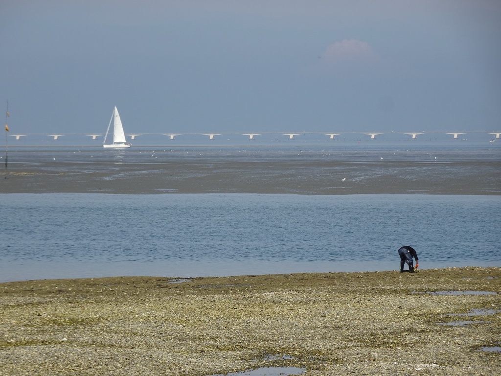 Person at the beach near the Dijkweg road, boat at the National Park Oosterschelde and the Zeelandbrug bridge