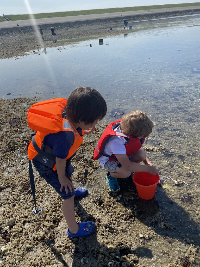 Max and his friend catching crabs at the beach near the Dijkweg road