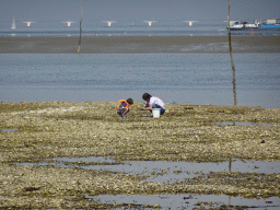 Miaomiao and Max catching crabs at the beach near the Dijkweg road, boat at the National Park Oosterschelde and the Zeelandbrug bridge