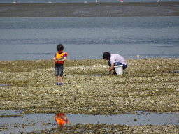 Miaomiao and Max catching crabs at the beach near the Dijkweg road