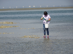 Miaomiao looking for oysters at the beach near the Dijkweg road, the National Park Oosterschelde and the Zeelandbrug bridge