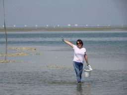 Miaomiao looking for oysters at the beach near the Dijkweg road, the National Park Oosterschelde and the Zeelandbrug bridge