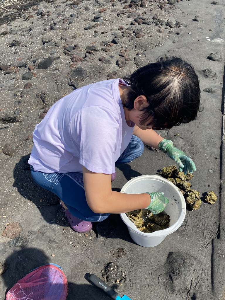 Miaomiao with a bucket with oysters at the beach near the Dijkweg road