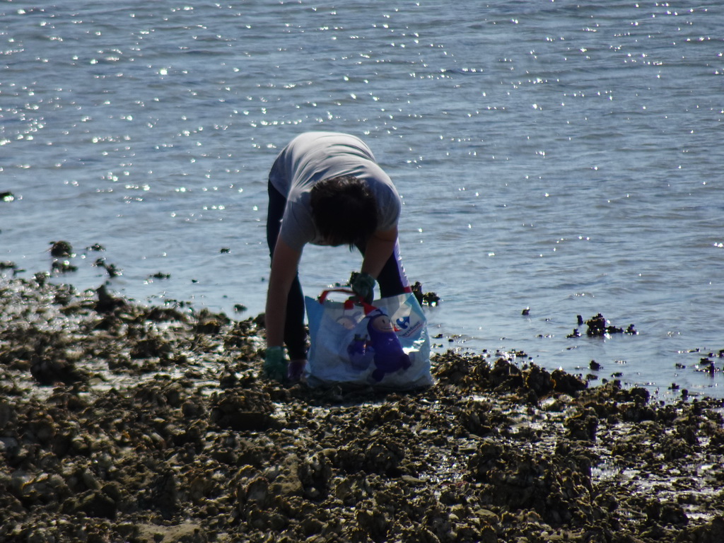 Miaomiao looking for oysters at the beach near the Dijkweg road