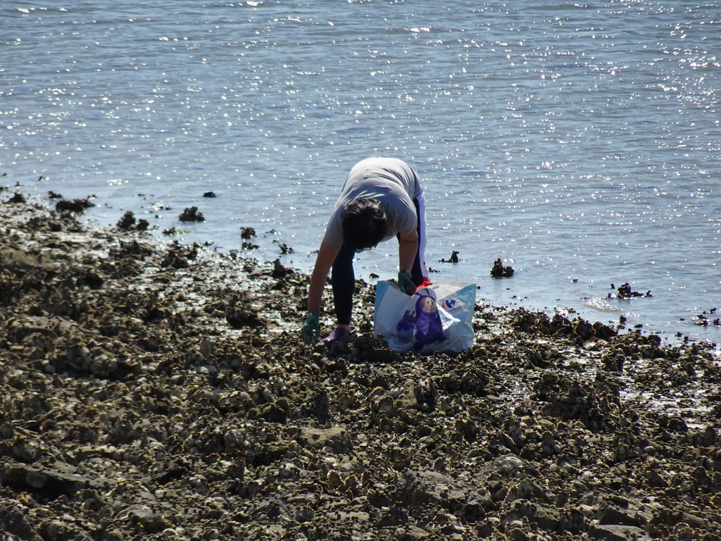 Miaomiao looking for oysters at the beach near the Dijkweg road