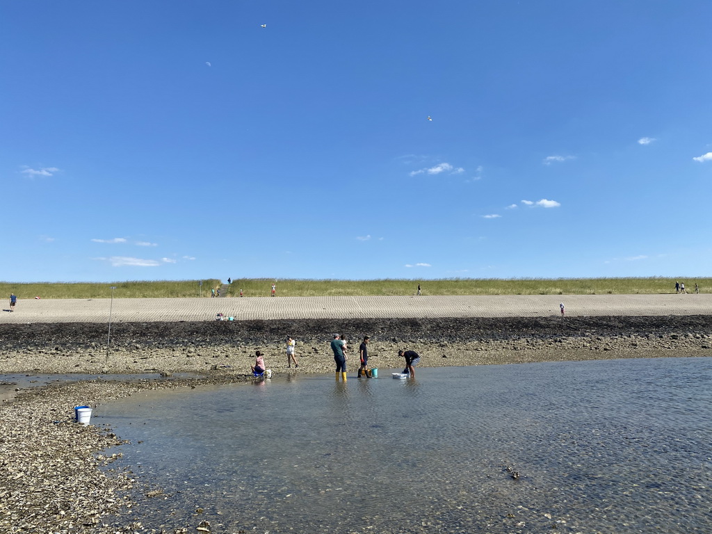 People catching crabs and shellfish at the beach near the Dijkweg road