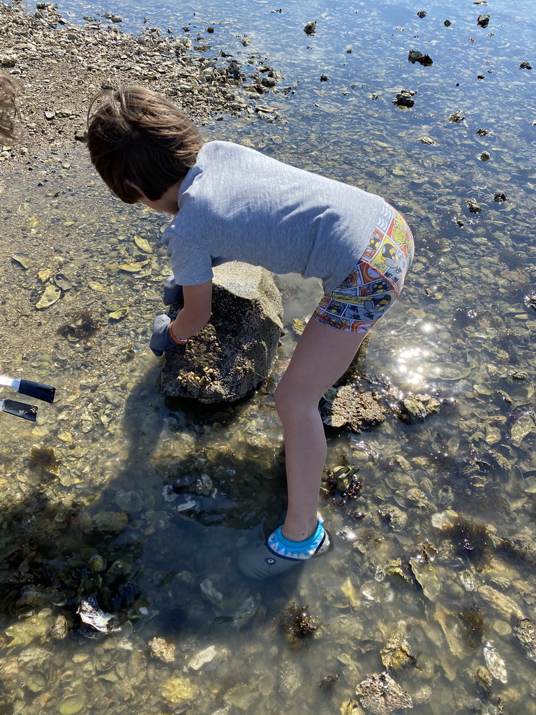 Max`s friend catching crabs at the beach near the Dijkweg road