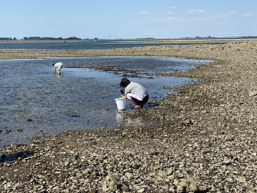 Miaomiao looking for oysters at the beach near the Dijkweg road