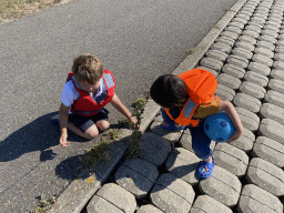 Max and his friend playing with a ladybug at the beach near the Dijkweg road