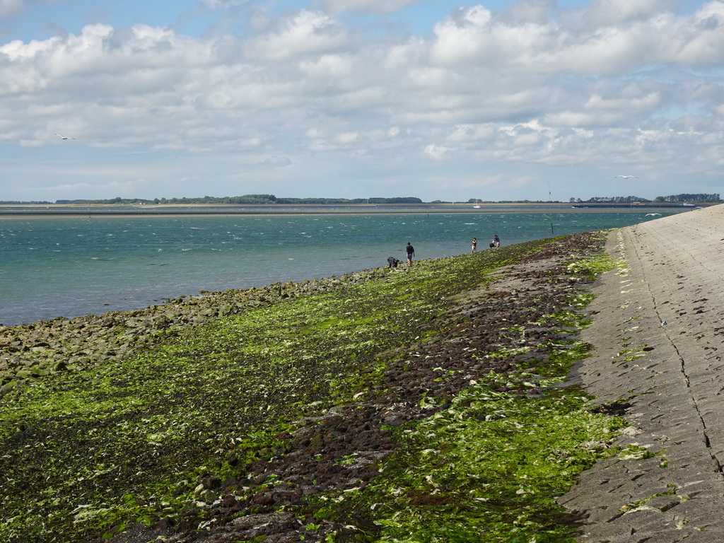 The beach near the Dijkweg road