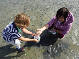 Miaomiao and Max`s friend looking for seashells at the beach near the Dijkweg road