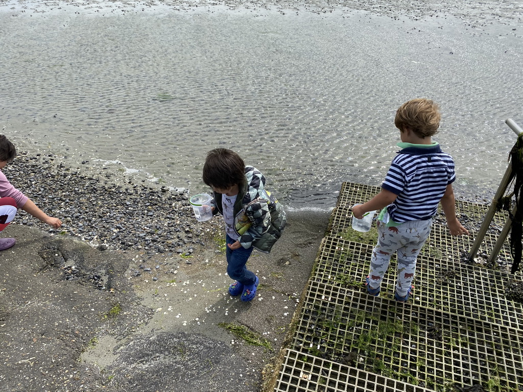 Miaomiao, Max and his friend looking for seashells at the beach near the Dijkweg road