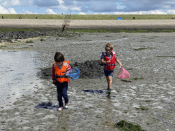 Max and his friend looking for seashells at the beach near the Dijkweg road