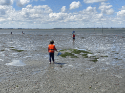 Miaomiao, Max and his friend looking for seashells at the beach near the Dijkweg road