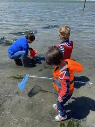 Miaomiao, Max and his friend looking for seashells at the beach near the Dijkweg road