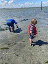 Miaomiao and Max`s friend looking for seashells at the beach near the Dijkweg road