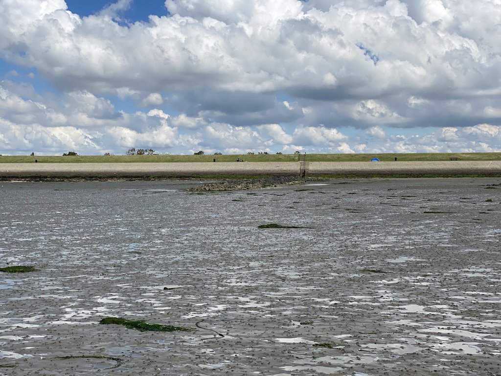 The beach near the Dijkweg road