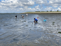 stavenisse_5_015 - 373 kb - 1024x768 - Miaomiao looking for seashells at the beach near the Dijkweg road Miaomiao looking for seashells at the beach near the Dijkweg road