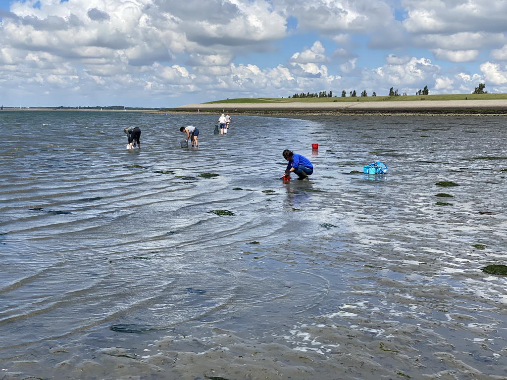 Miaomiao looking for seashells at the beach near the Dijkweg road