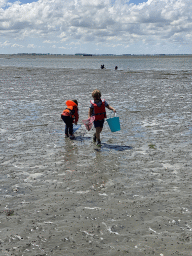 stavenisse_5_017 - 408 kb - 768x1024 - Max and his friend looking for seashells at the beach near the Dijkweg road Max and his friend looking for seashells at the beach near the Dijkweg road