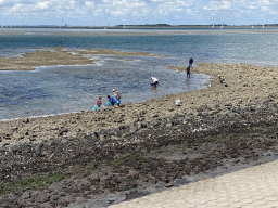 Miaomiao and Max`s friend looking for seashells at the beach near the Dijkweg road