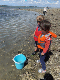 Miaomiao and Max`s friend catching crabs at the beach near the Dijkweg road