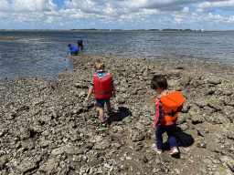 Miaomiao, Max and his friend looking for seashells at the beach near the Dijkweg road