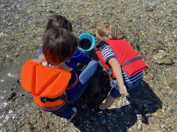stavenisse_5_030 - 462 kb - 1024x768 - Miaomiao, Max and his friend looking for seashells at the beach near the Dijkweg road Miaomiao, Max and his friend looking for seashells at the beach near the Dijkweg road