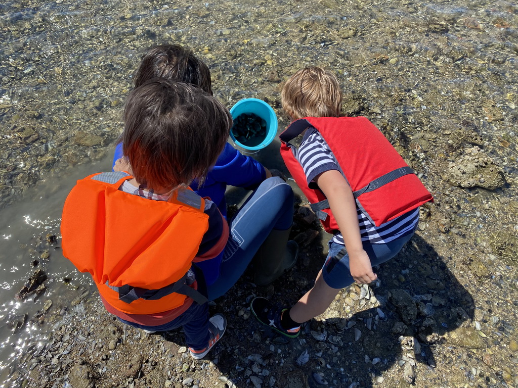 Miaomiao, Max and his friend looking for seashells at the beach near the Dijkweg road