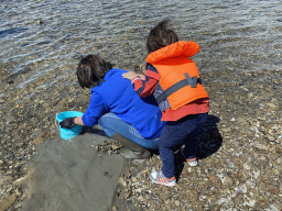 Miaomiao and Max looking for seashells at the beach near the Dijkweg road