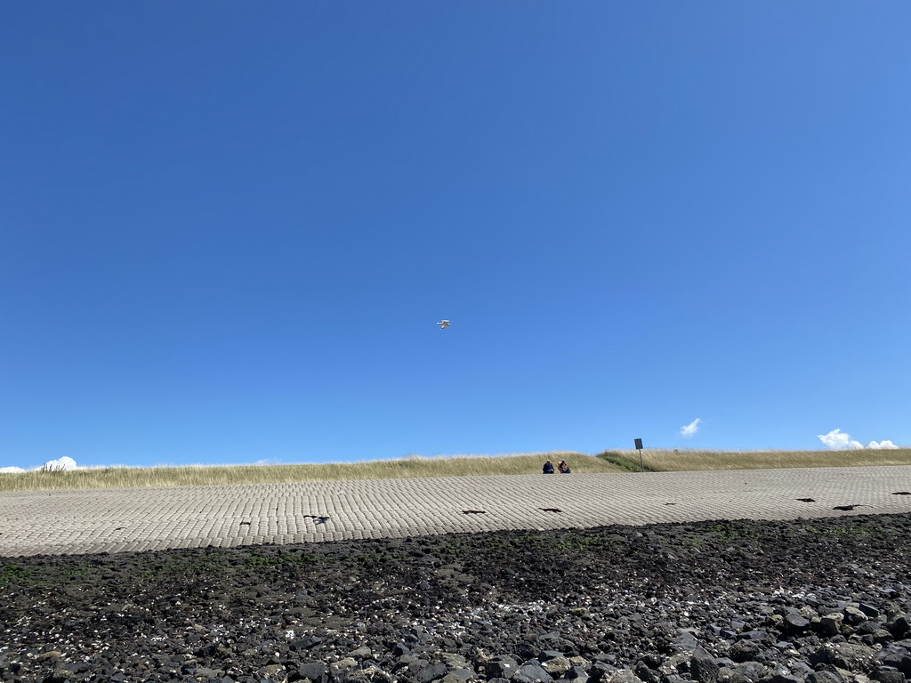 Seagull flying over the beach near the Dijkweg road