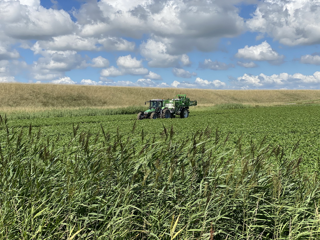 Tractor in a field at the Pilootweg road