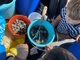 Max and his friend with buckets with seashells in the back of the car at the Dijkweg road