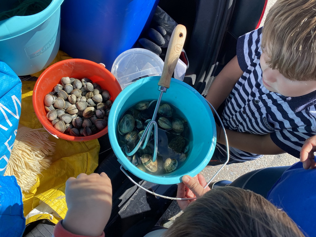 Max and his friend with buckets with seashells in the back of the car at the Dijkweg road